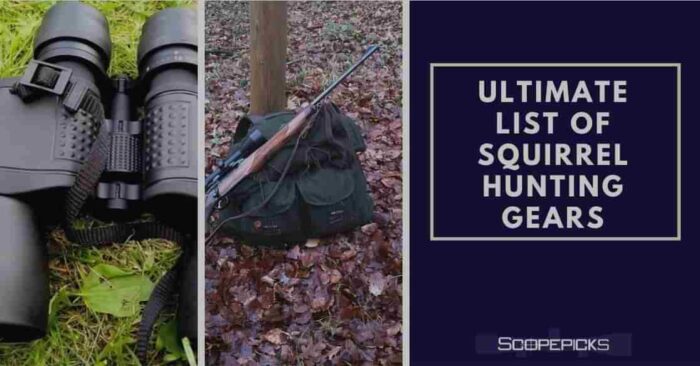 Ultimate List of Squirrel Hunting Gears - From beginners to professional