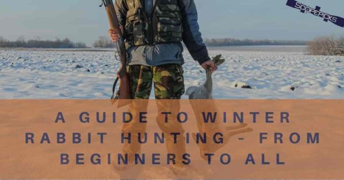 Expert Guide to Winter Rabbit Hunting – Tips You Needed