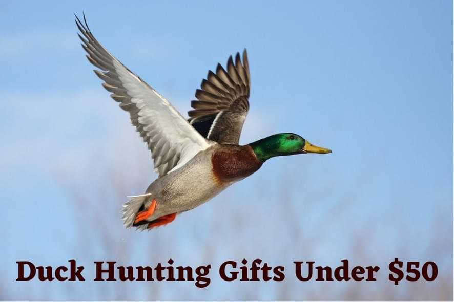duck hunting gifts under 50